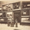 414.-Ausstellungen
