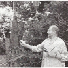 Fischer-Hans