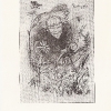 Rumpler-Franz-Karikatur