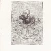 Weyr-Rudolf-Karikatur
